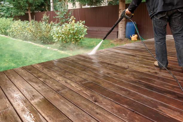 Best Sidewalk and Walkway Cleaning  in Owosso, MI